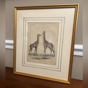 Framed Antique Giraffe Print